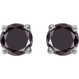 14K White Gold 1/2 CTW Natural Black Diamond Earrings