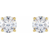14K Yellow 1 1/4 CTW Lab-Grown Diamond Stud Earrings